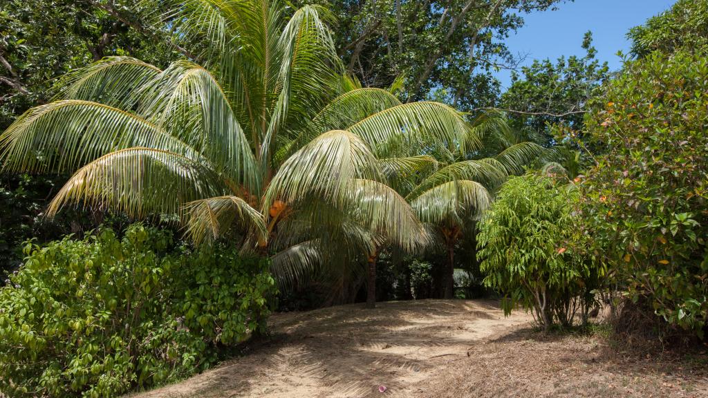 Foto 26: Villa Pasyon - La Digue (Seychellen)