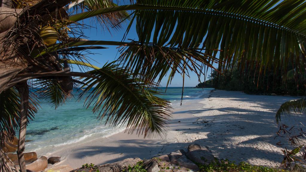 Foto 20: Island Bungalow - La Digue (Seychelles)