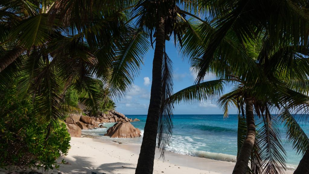 Foto 26: Island Bungalow - La Digue (Seychellen)