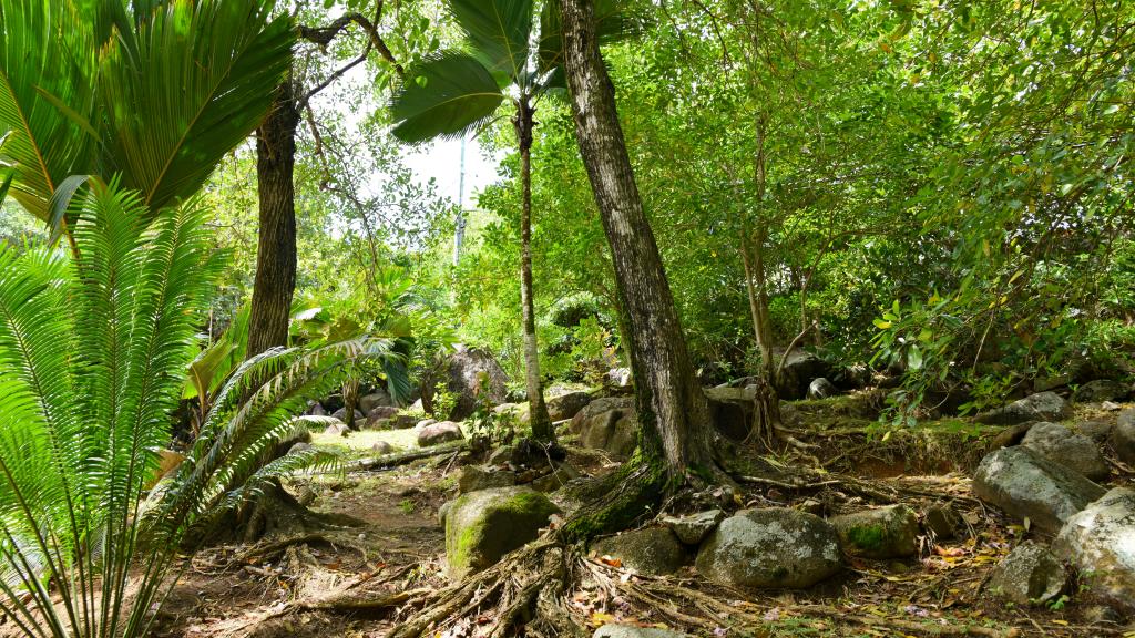 Foto 98: Demeure de Cap Maçon - Mahé (Seychellen)