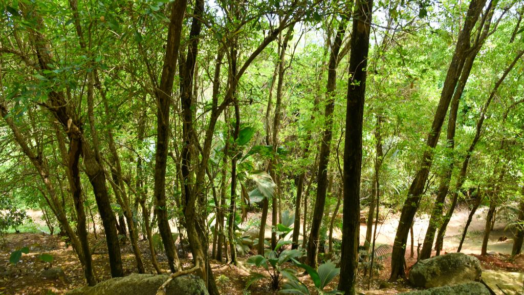 Foto 96: Demeure de Cap Maçon - Mahé (Seychellen)