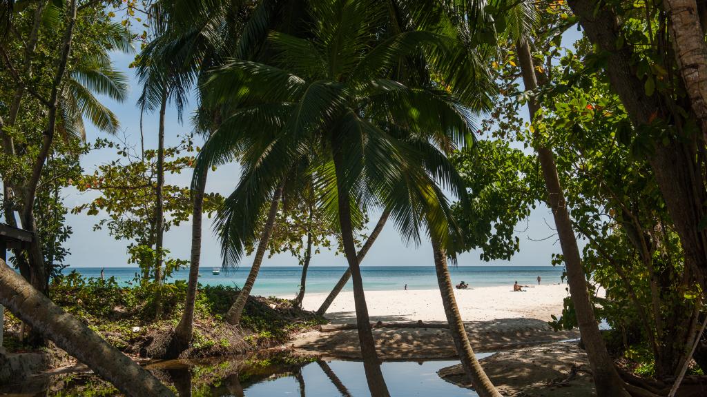 Foto 81: Clef des Iles - Mahé (Seychelles)