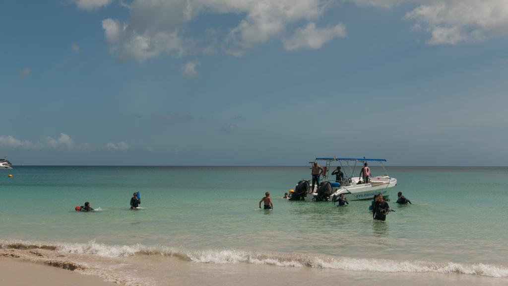 Foto 89: Clef des Iles - Mahé (Seychelles)