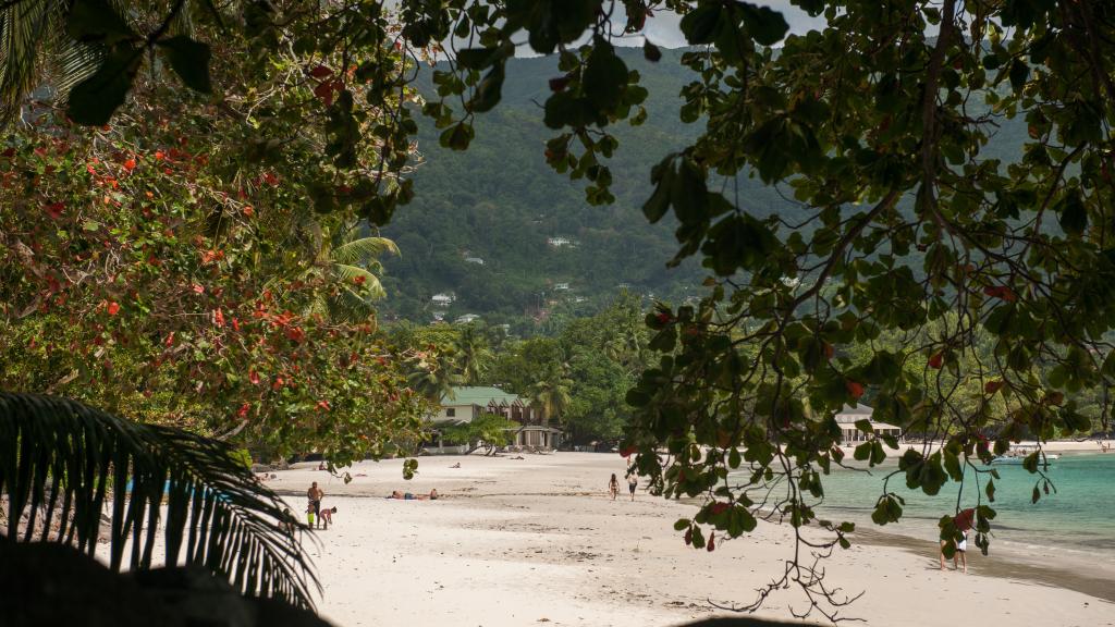 Foto 91: Clef des Iles - Mahé (Seychelles)