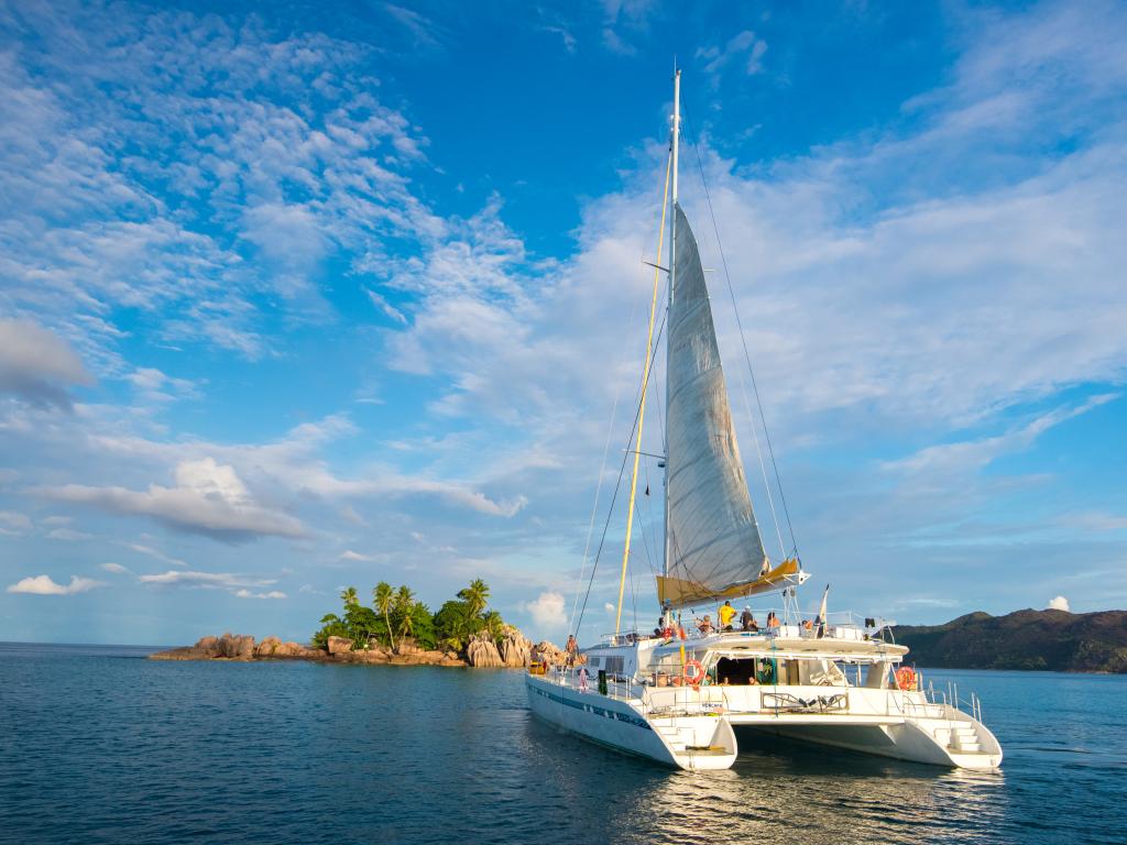 VPM Cocktail Créole - Foto 8