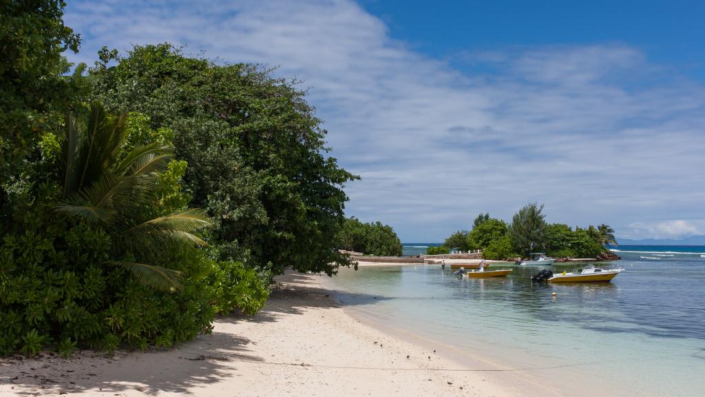 Foto 14: Marie-France Beach Front Apartments - La Digue (Seychellen)