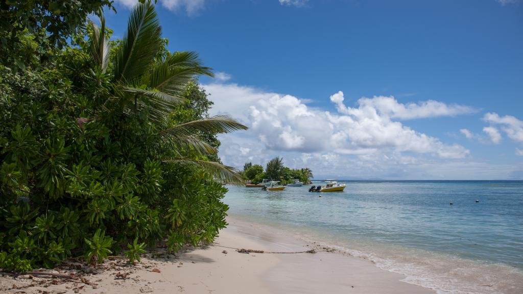 Foto 13: Marie-France Beach Front Apartments - La Digue (Seychellen)