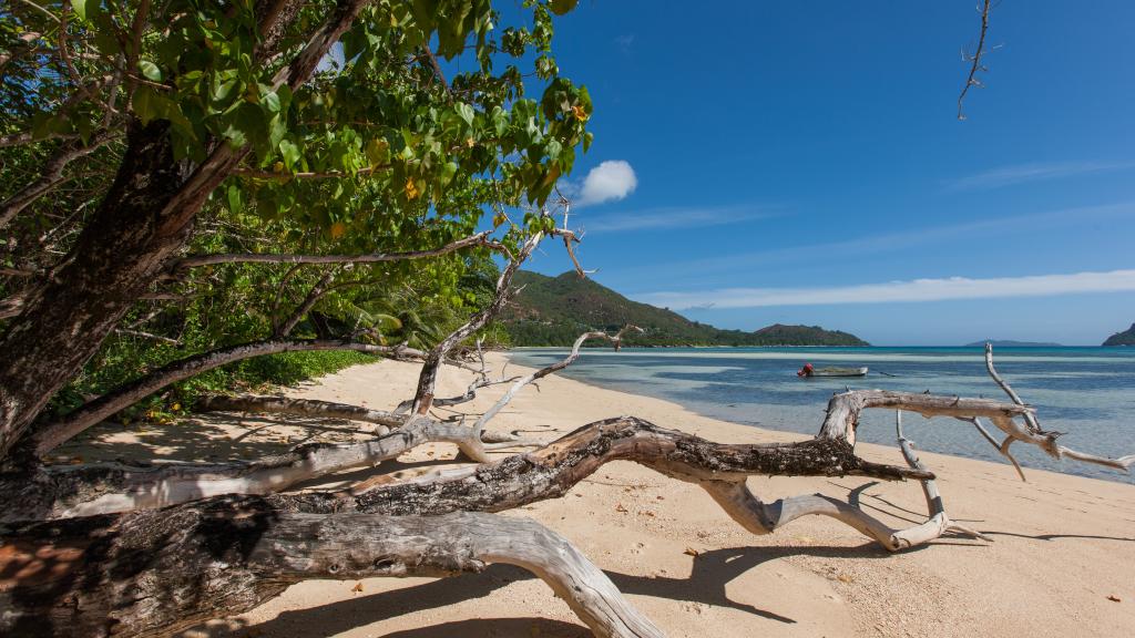 Foto 27: Villa Zananas - Praslin (Seychellen)