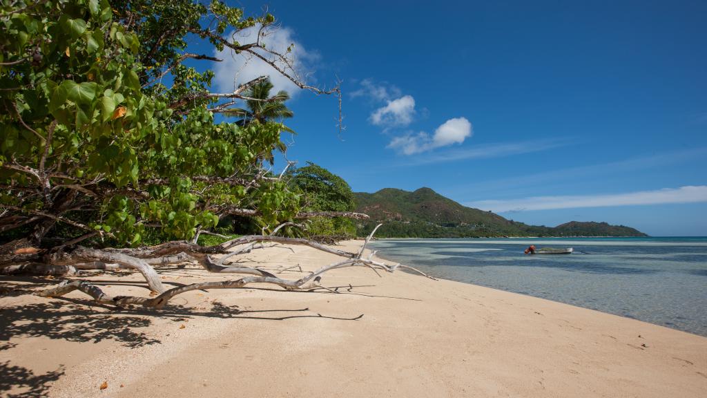 Foto 34: Villa Zananas - Praslin (Seychellen)