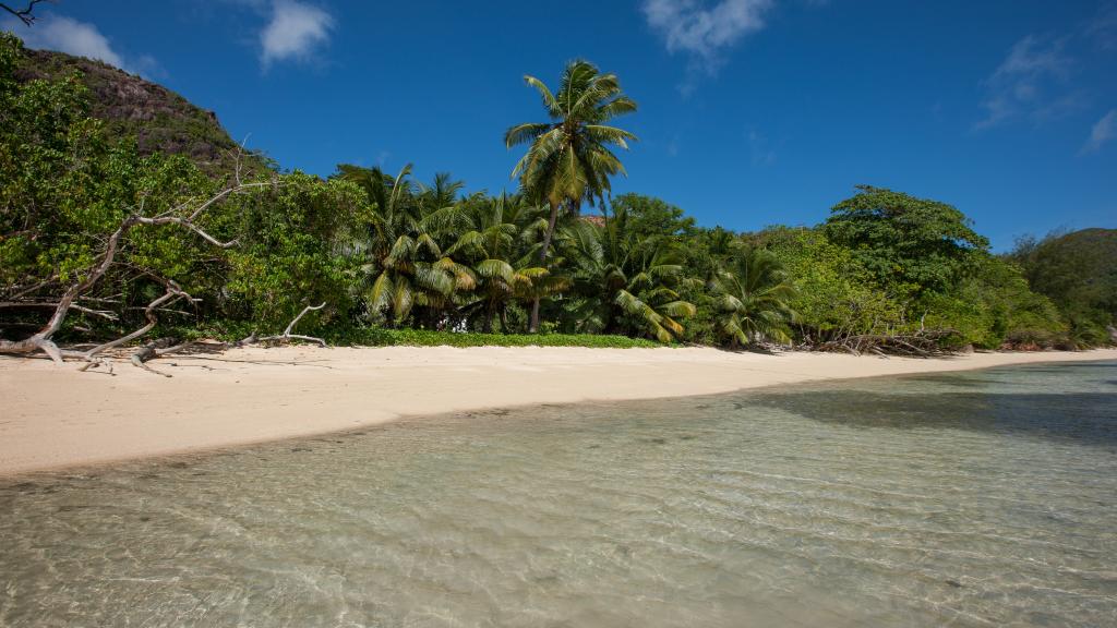 Foto 35: Villa Zananas - Praslin (Seychellen)