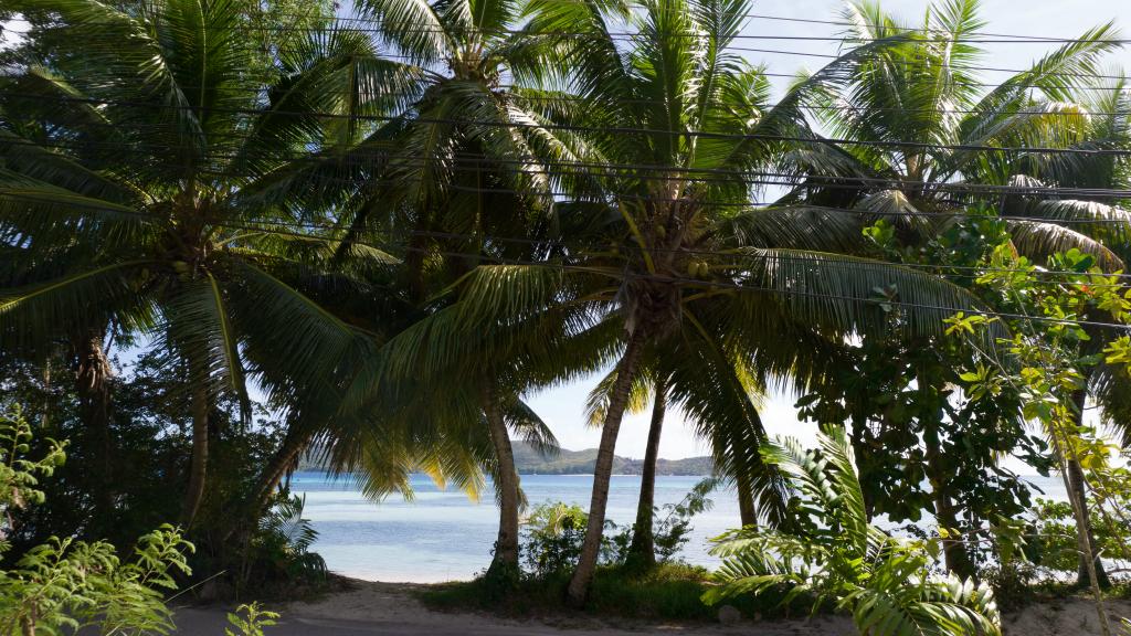 Foto 24: Villa Zananas - Praslin (Seychellen)