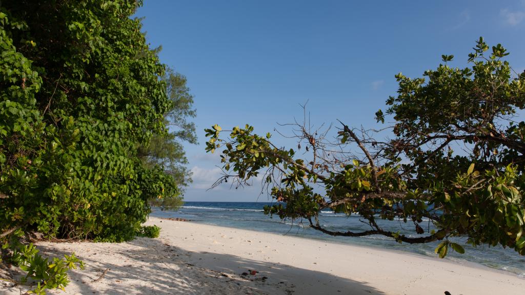 Foto 41: Le Relax Luxury Lodge - La Digue (Seychellen)