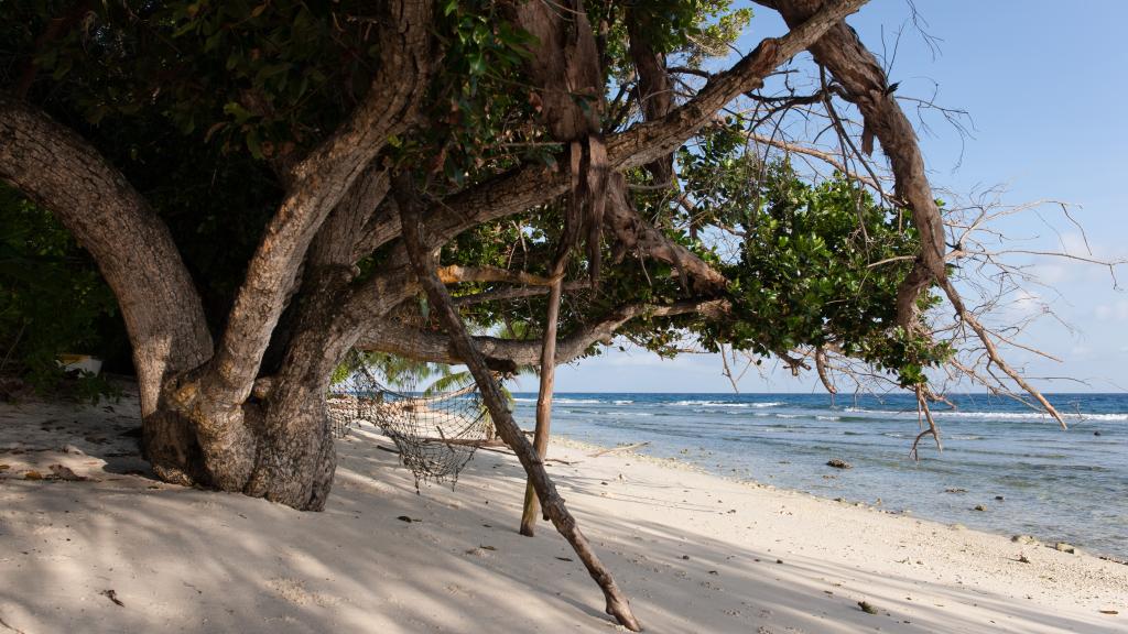 Photo 55: Le Relax Luxury Lodge - La Digue (Seychelles)