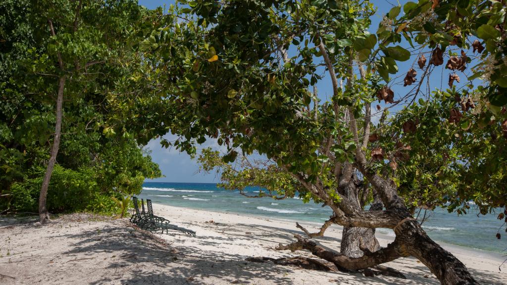 Photo 54: Le Relax Luxury Lodge - La Digue (Seychelles)