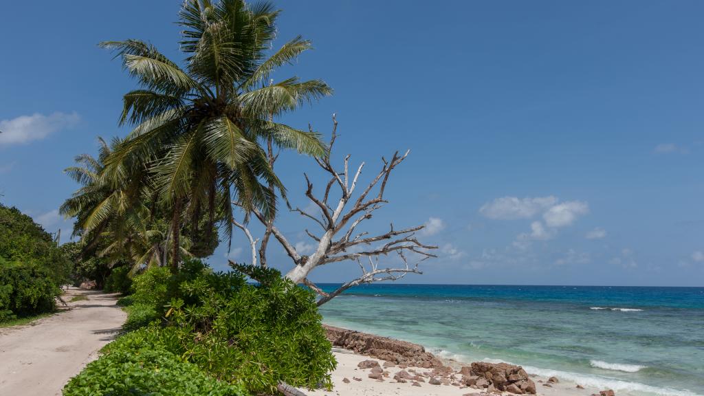 Foto 44: Le Relax Luxury Lodge - La Digue (Seychellen)