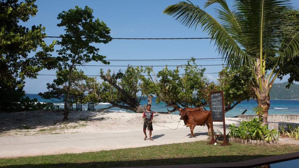 Photo 53: Le Relax Luxury Lodge - La Digue (Seychelles)