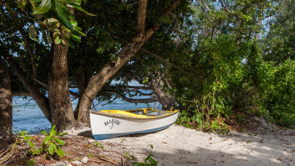 Photo 58: Le Relax Luxury Lodge - La Digue (Seychelles)