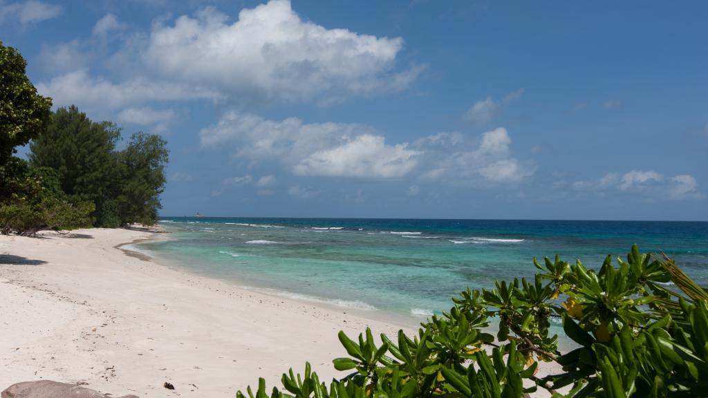 Photo 75: Le Relax Luxury Lodge - La Digue (Seychelles)