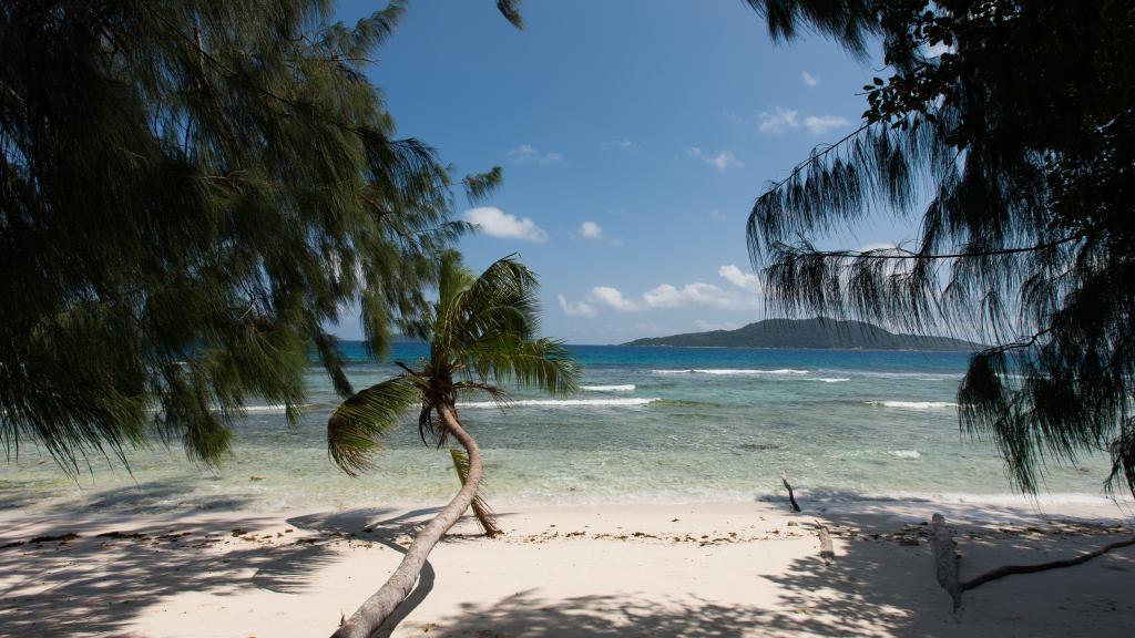 Photo 76: Le Relax Luxury Lodge - La Digue (Seychelles)