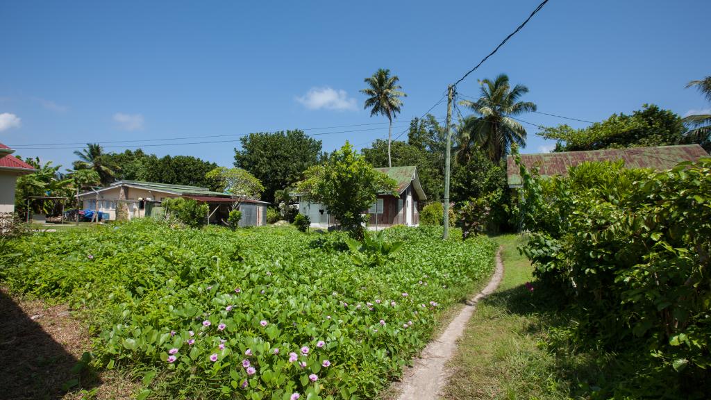 Photo 76: Hostellerie La Digue - La Digue (Seychelles)