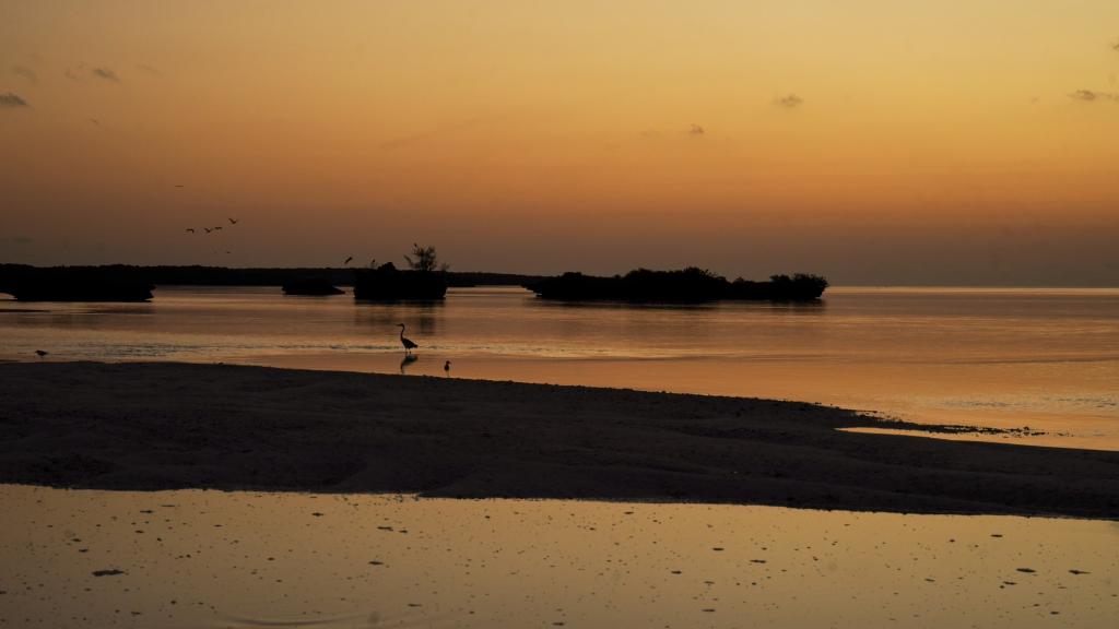 Foto 29: Silhouette Aldabra Expeditions MV Maya's Dugong - Seychelles (Seychelles)