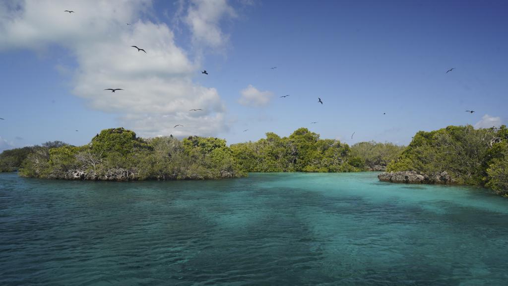 Foto 8: Silhouette Aldabra Expeditions MV Maya's Dugong - Seychelles (Seychelles)