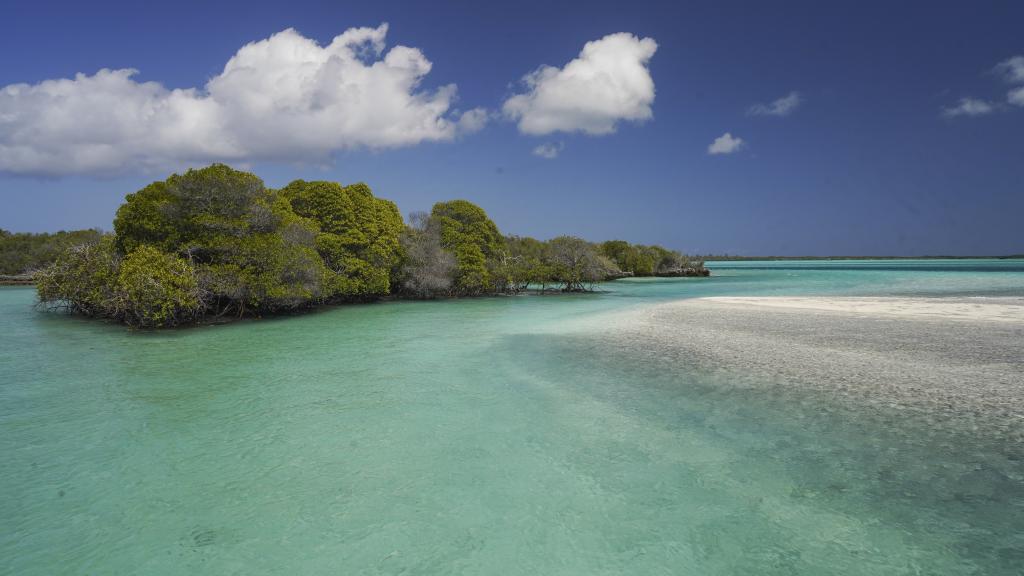 Foto 4: Silhouette Aldabra Expeditions MV Maya's Dugong - Seychelles (Seychelles)