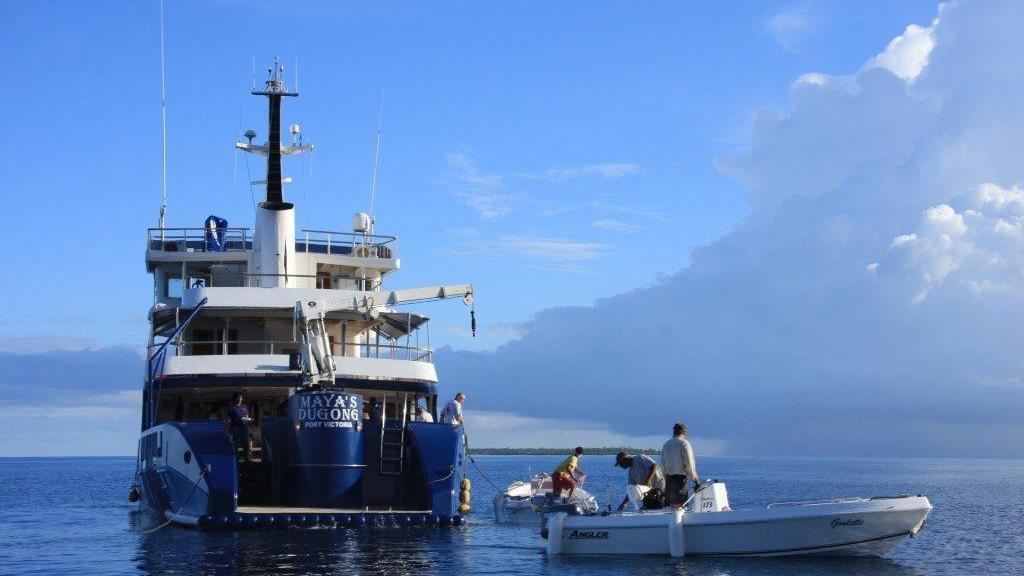 Foto 33: Silhouette Aldabra Expeditions MV Maya's Dugong - Seychellen (Seychellen)