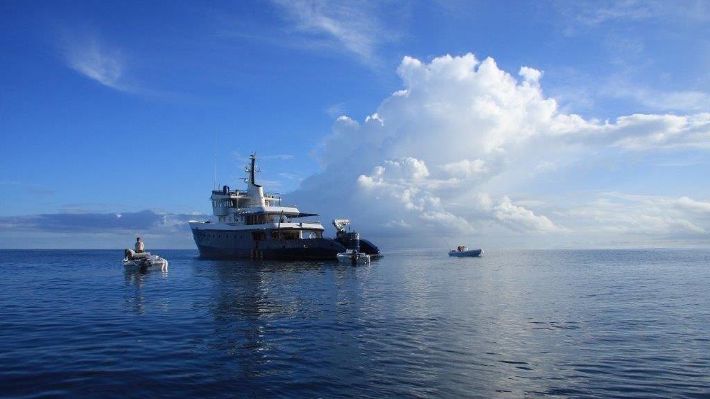 Foto 32: Silhouette Aldabra Expeditions MV Maya's Dugong - Seychelles (Seychelles)