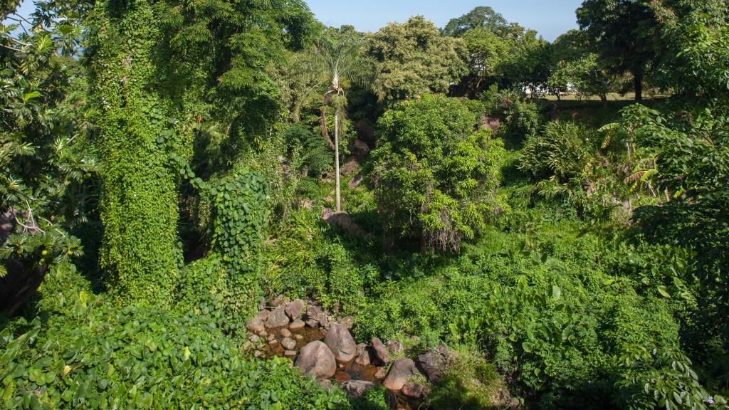 Foto 39: Bambous River Lodge - Mahé (Seychelles)