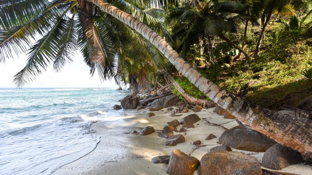 Foto 157: Chalets Bougainville - Mahé (Seychelles)