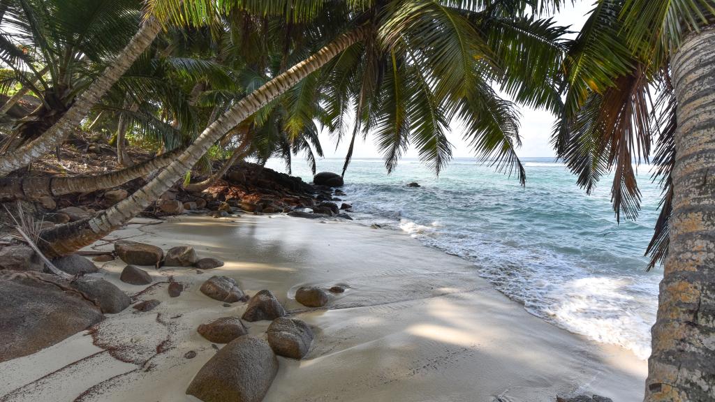 Foto 167: Chalets Bougainville - Mahé (Seychelles)