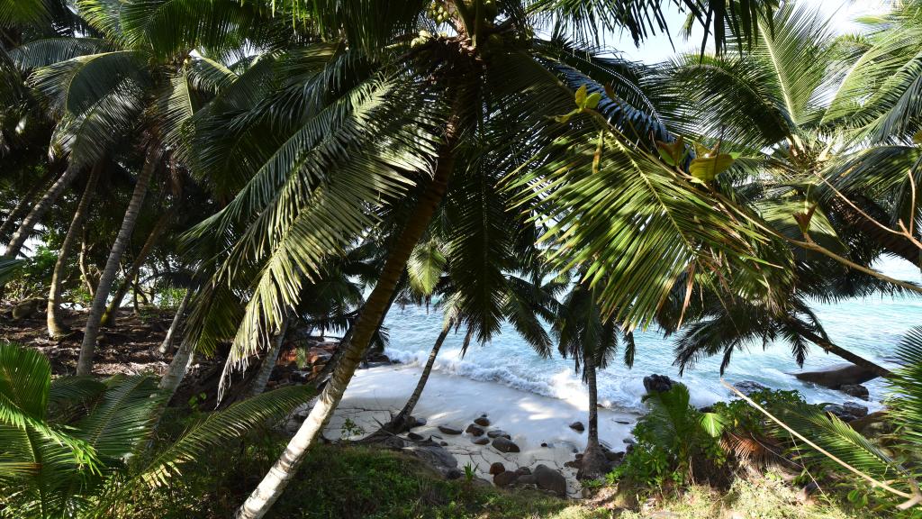 Foto 168: Chalets Bougainville - Mahé (Seychelles)