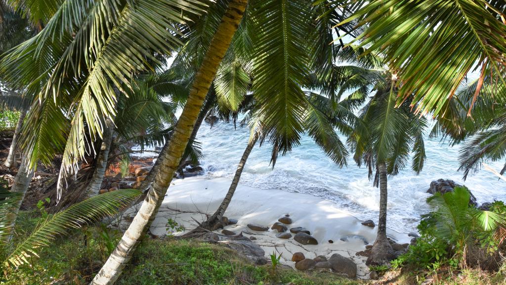 Foto 158: Chalets Bougainville - Mahé (Seychelles)