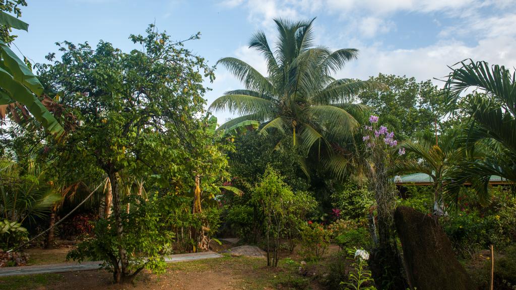 Foto 7: Cocotier Du Rocher Self Catering Apartments - La Digue (Seychelles)