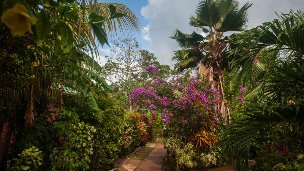 Foto 21: Cocotier Du Rocher Self Catering Apartments - La Digue (Seychelles)