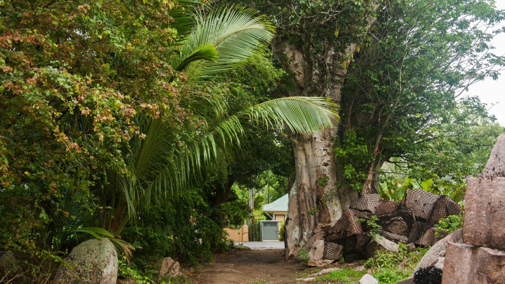 Foto 37: Cocotier Du Rocher Self Catering Apartments - La Digue (Seychelles)