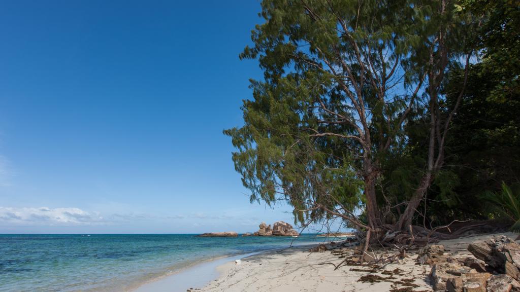 Foto 39: YASAD Luxury Beach Residence - Praslin (Seychelles)