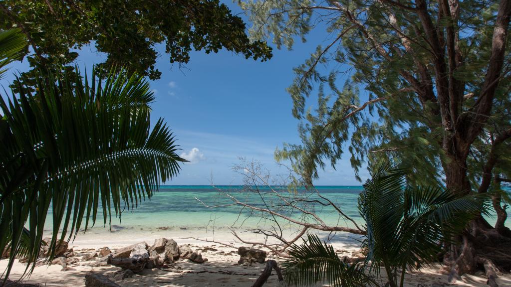 Foto 33: YASAD Luxury Beach Residence - Praslin (Seychellen)