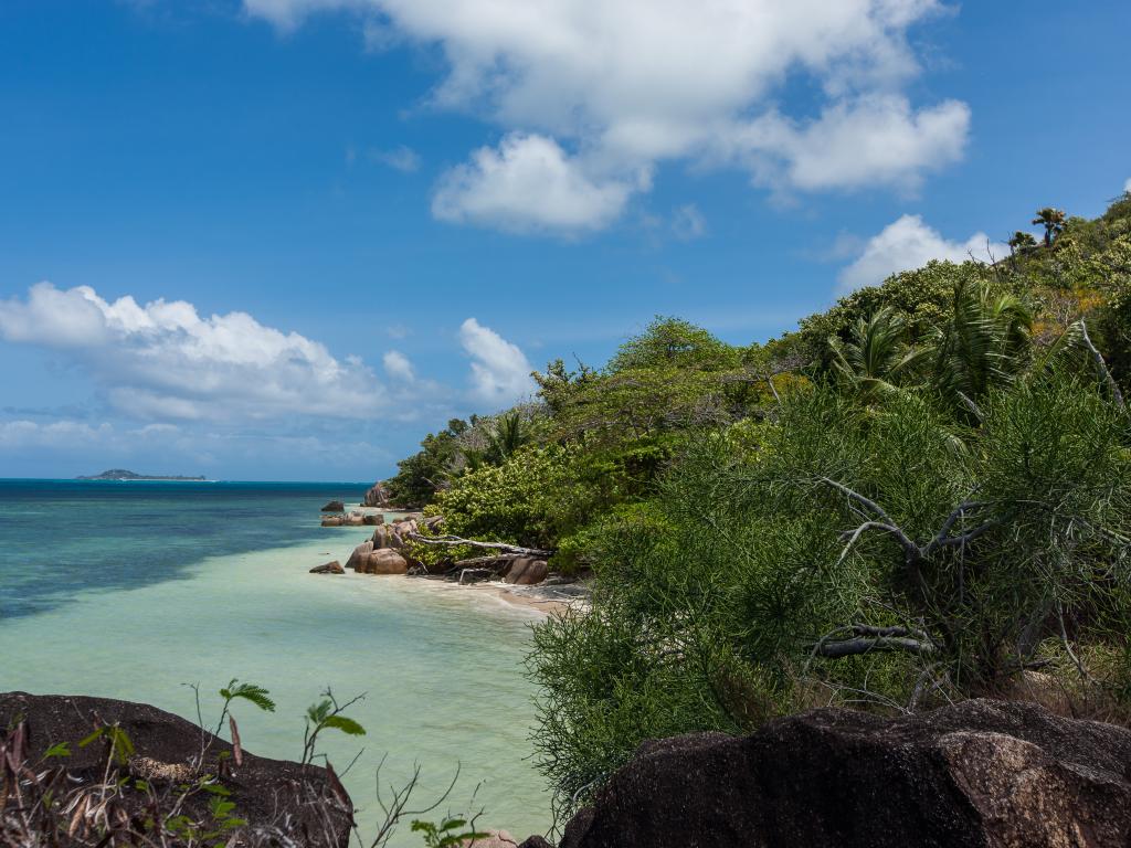 YASAD Luxury Beach Residence - Foto 7