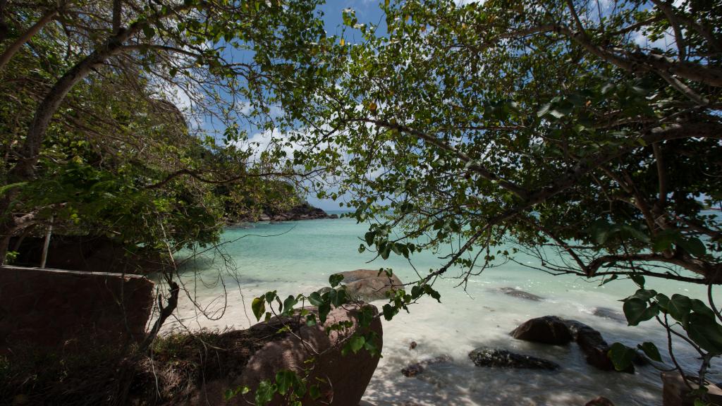 Foto 22: Acquario Villa - Praslin (Seychelles)