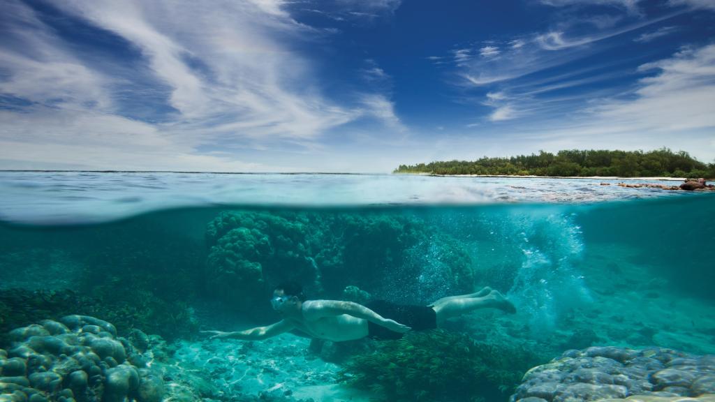 Foto 67: Alphonse Island Lodge - Alphonse Island (Seychelles)