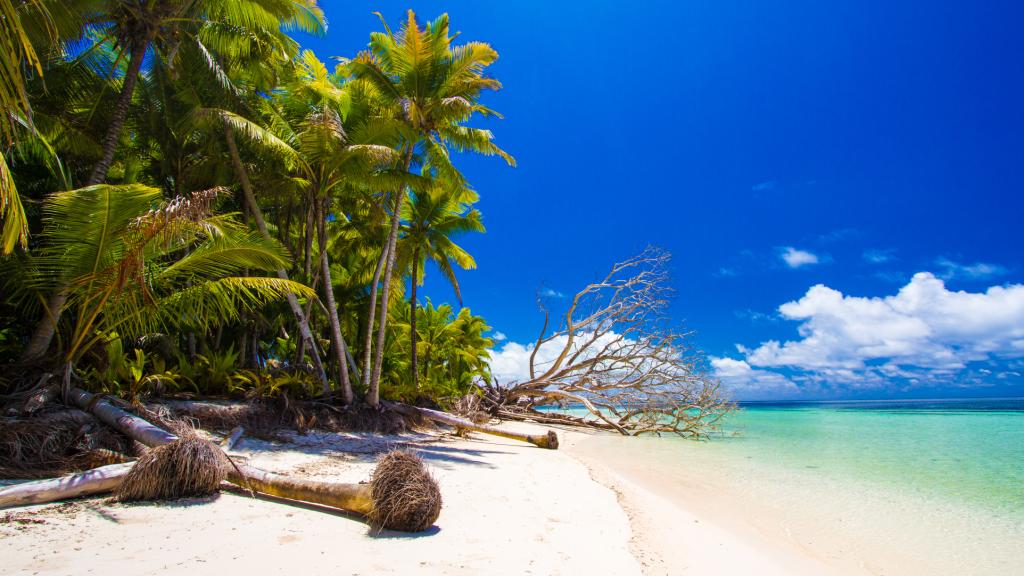 Photo 32: Alphonse Island Lodge - Alphonse Island (Seychelles)