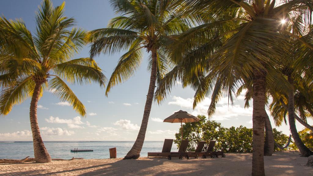 Photo 27: Alphonse Island Lodge - Alphonse Island (Seychelles)