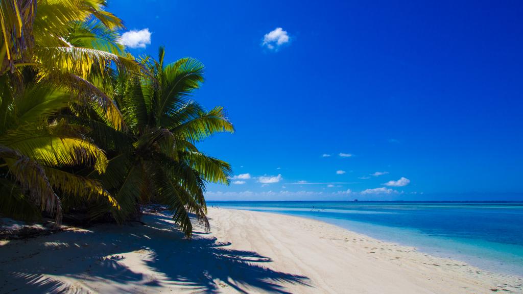 Photo 33: Alphonse Island Lodge - Alphonse Island (Seychelles)