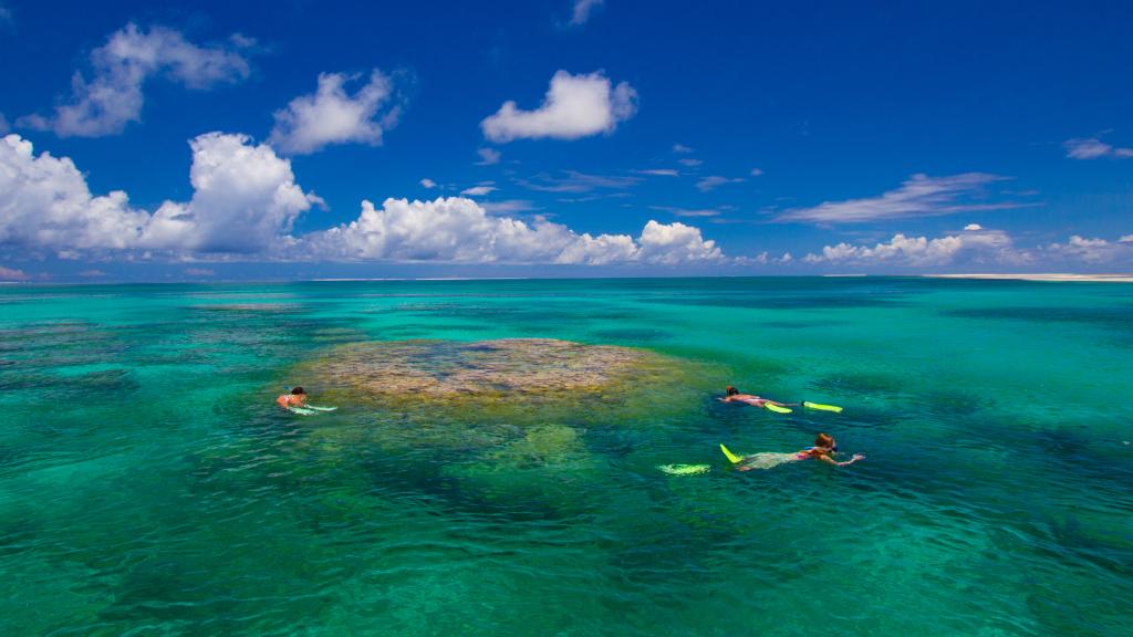 Foto 77: Alphonse Island Lodge - Alphonse Island (Seychelles)