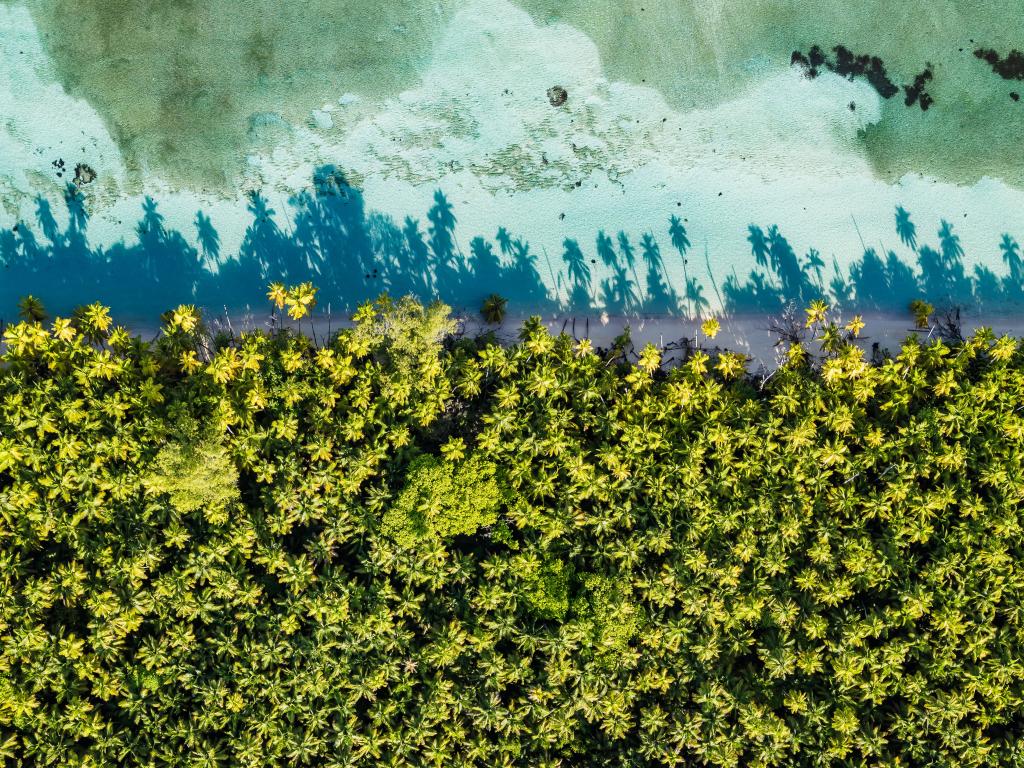 Alphonse Island Lodge - Photo 6