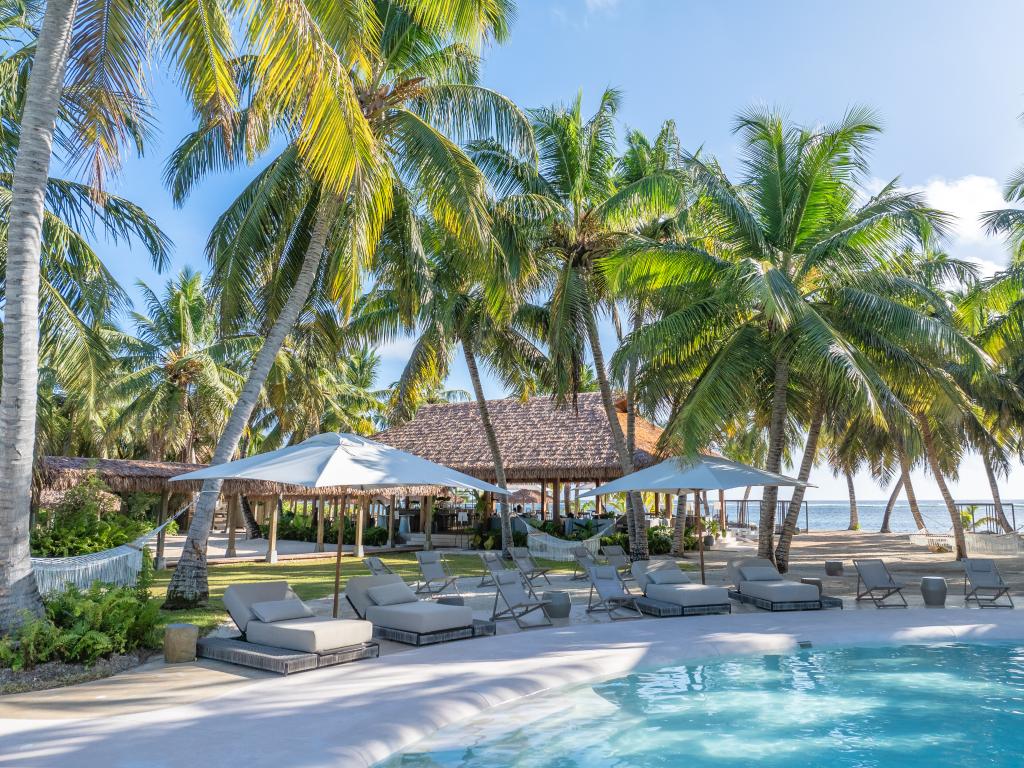 Alphonse Island Lodge - Photo 4