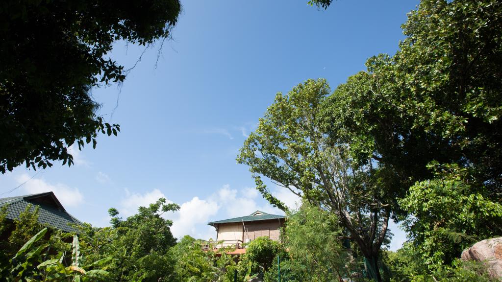 Photo 14: La Pointe Beach Huts - Praslin (Seychelles)