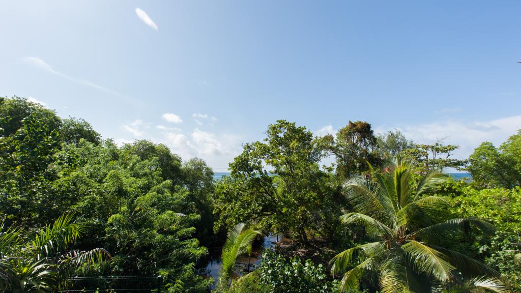 Photo 15: La Pointe Beach Huts - Praslin (Seychelles)